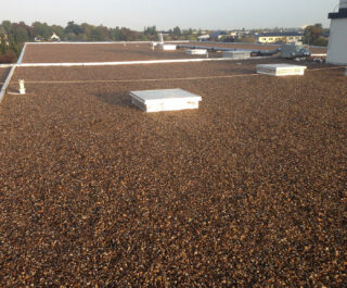 Terrasse inaccessible gravillonnée - usine